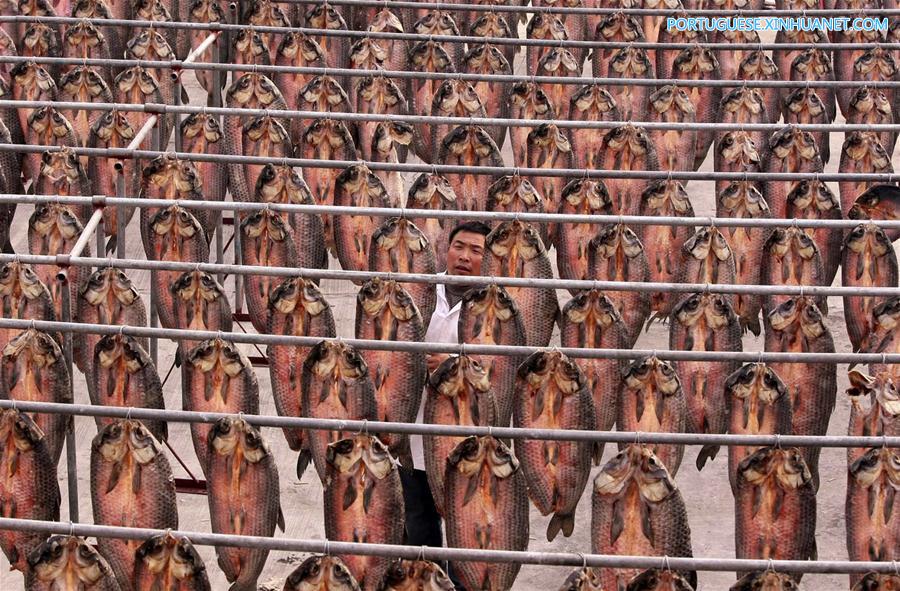 Sabores do Festival da Primavera