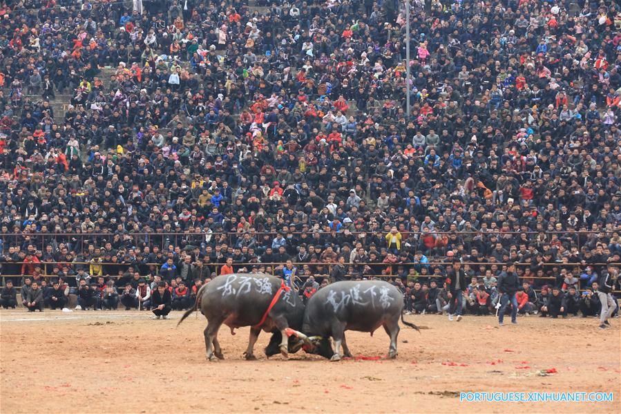 Celebra??es do Ano Novo ao redor da China