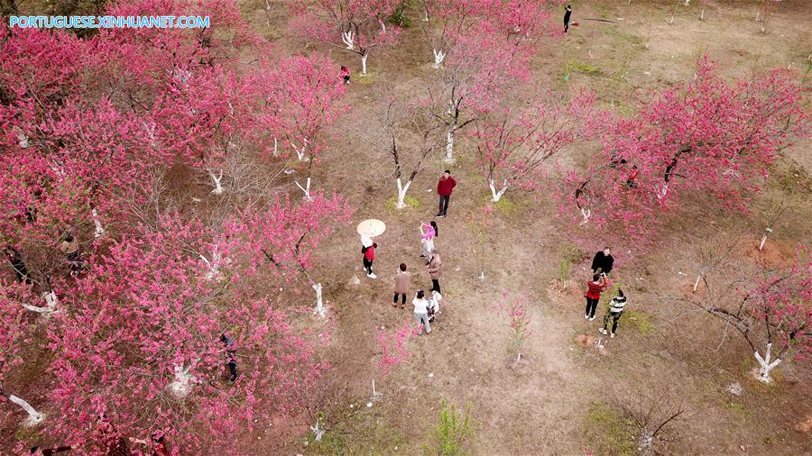 Esta??o das flores transforma paisagens na China