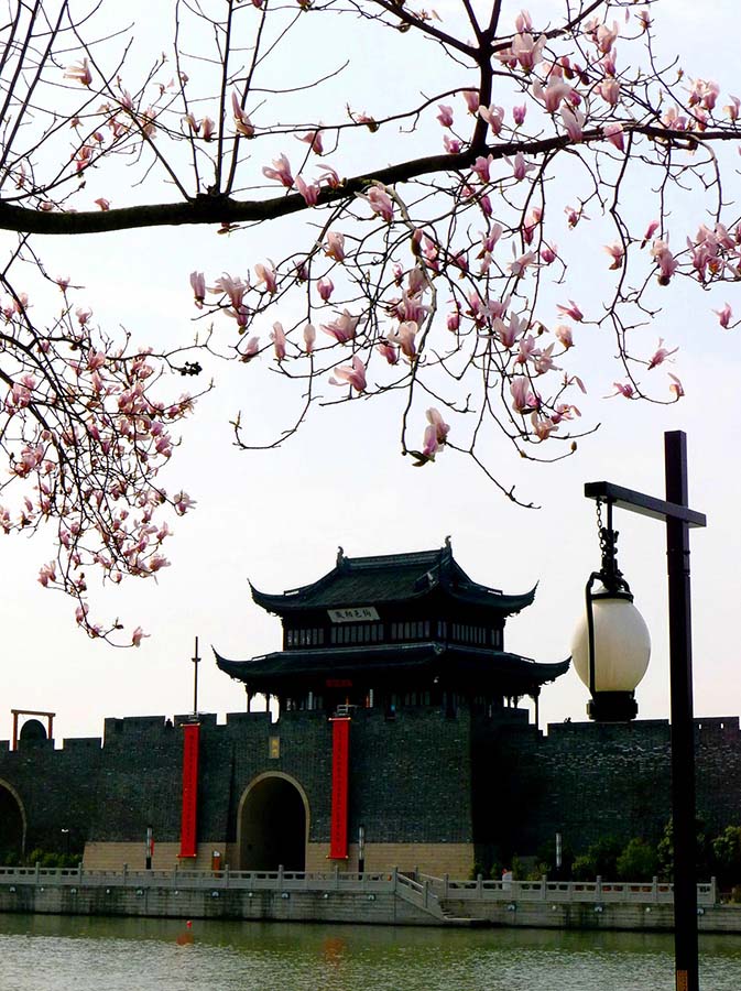 Primavera cheia de vida no leste da China