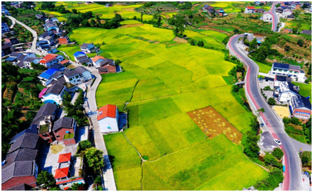 China: Aldeias interligadas por rede de ?nibus até 2020 