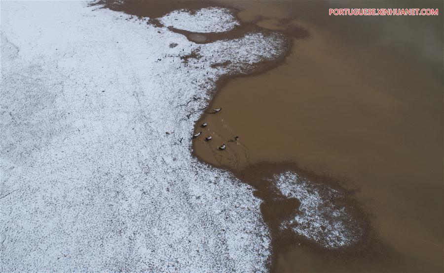 Grous de pesco?o negro no Tibete, sudoeste da China