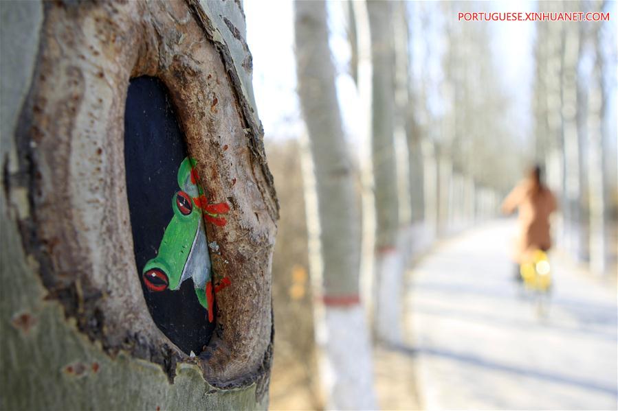 Desenhos em árvores atraem turistas em parque de Ningxia