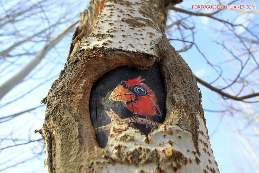 Desenhos em árvores atraem turistas em parque de Ningxia