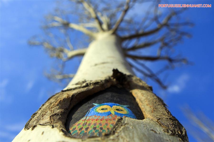 Desenhos em árvores atraem turistas em parque de Ningxia