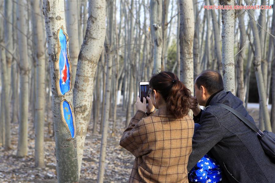 Desenhos em árvores atraem turistas em parque de Ningxia