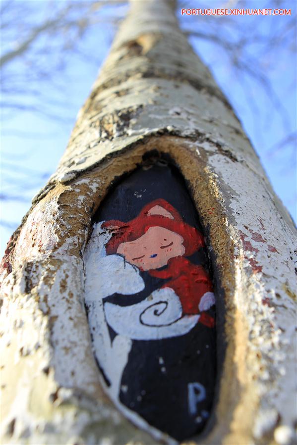 Desenhos em árvores atraem turistas em parque de Ningxia