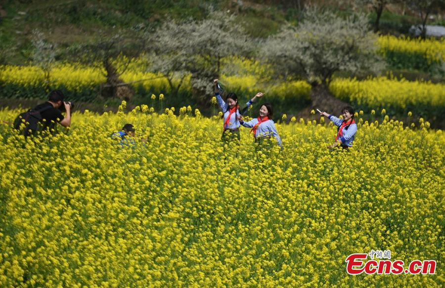 Trem a vapor atrai turistas em Sichuan