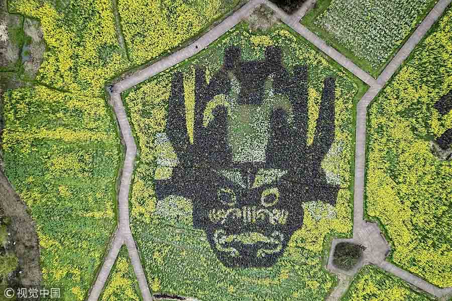 Caracteres e padr?es chineses decoram campos de flores de canola