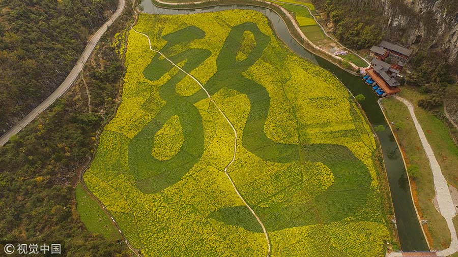 Caracteres e padr?es chineses decoram campos de flores de canola