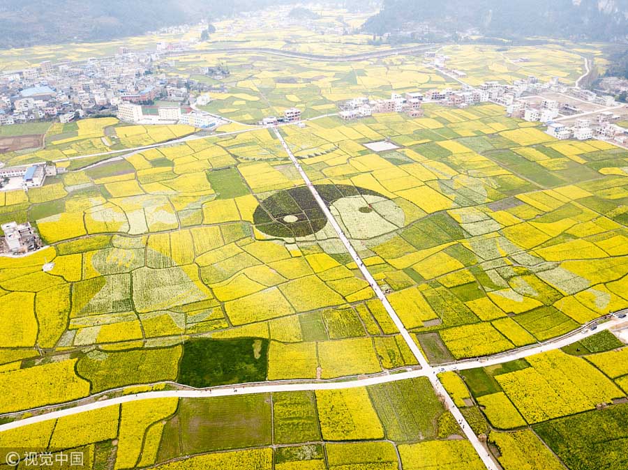 Caracteres e padr?es chineses decoram campos de flores de canola