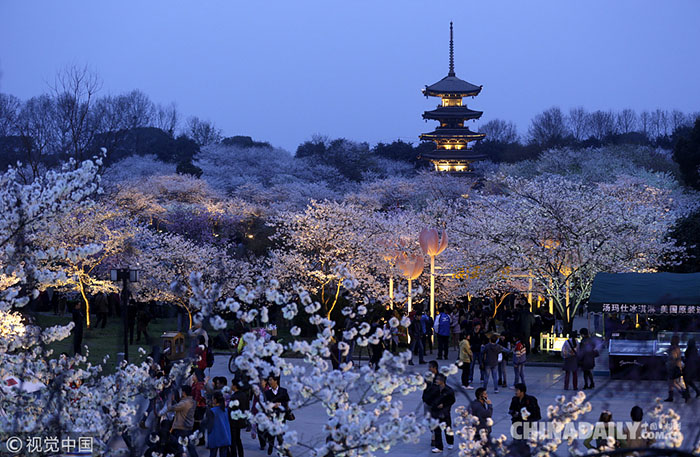 Galeria: Conhe?a os melhores lugares para apreciar as flores de cerejeira na China