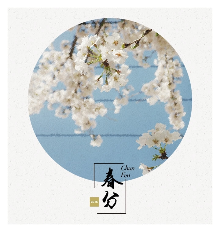 Galeria: Primavera em plena flora??o com a chegada do equinócio vernal