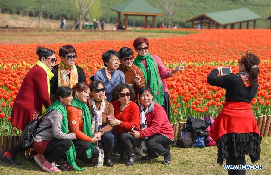 Galeria: Turistas saem de casa para apreciar flores em toda a China