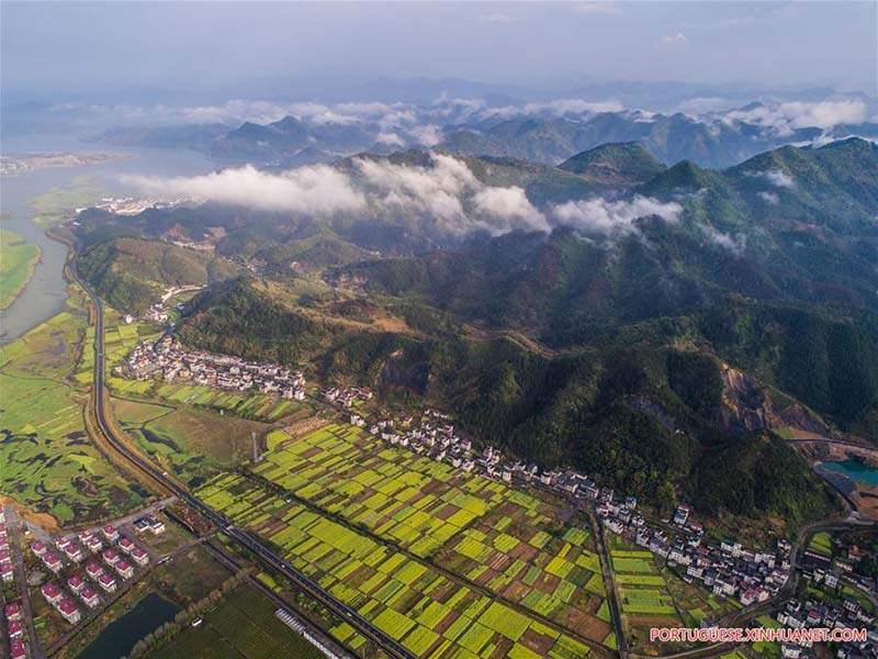 Parque pantonoso em Zhejiang é símbolo da melhoria ambiental local