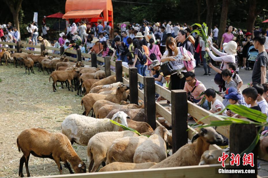 China registra 100 milh?es de viagens dentro do país durante Festival Qingming