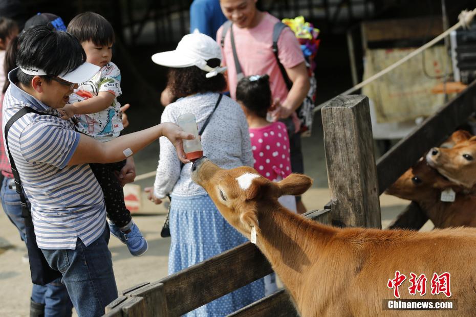 China registra 100 milh?es de viagens dentro do país durante Festival Qingming