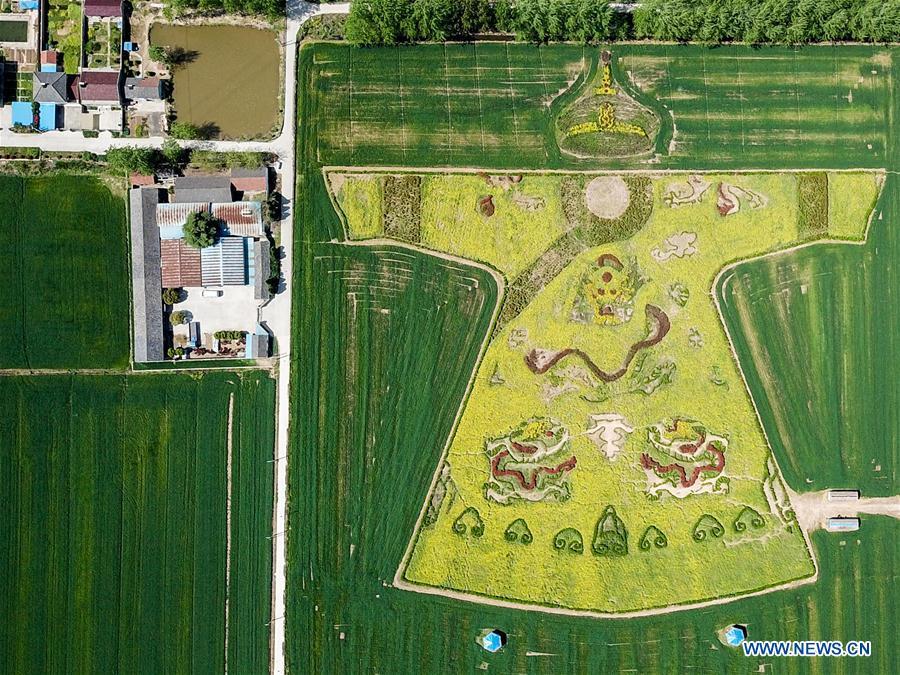 Galeria: Veste tradicional chinesa recriada em campo de flores de colza