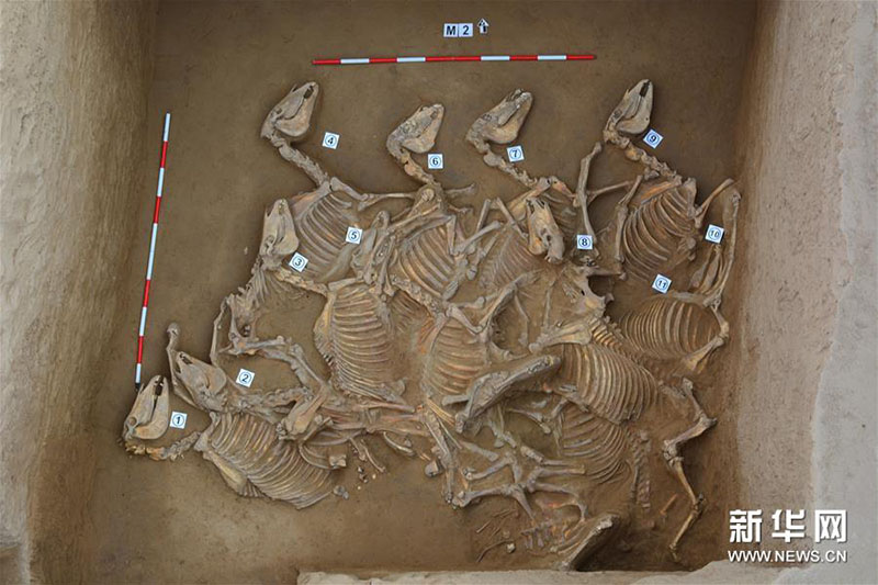 Top 10 descobertas arqueológicas na China de 2017 anunciadas