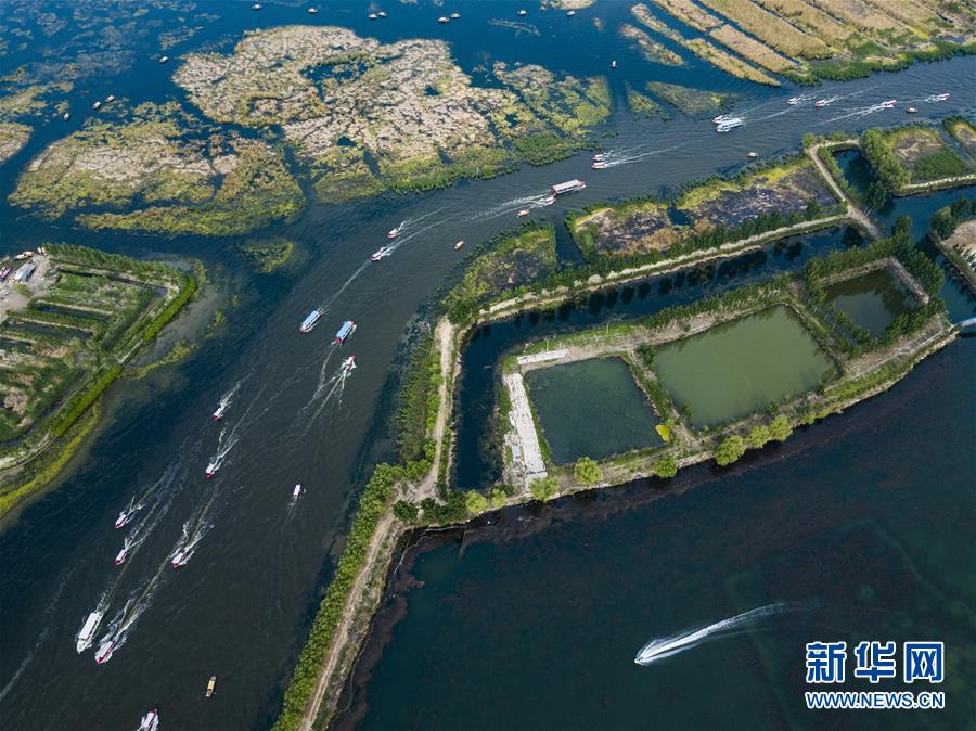 Galeria: Lago de Baiyangdian na Nova área de Xiong’an