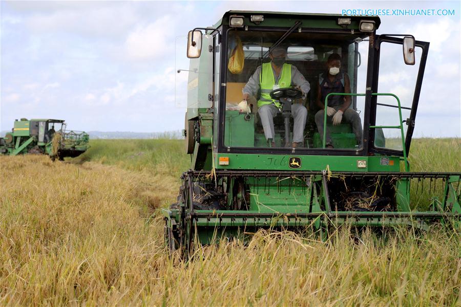 Fazenda de arroz chinesa traz agricultura moderna a Mo?ambique