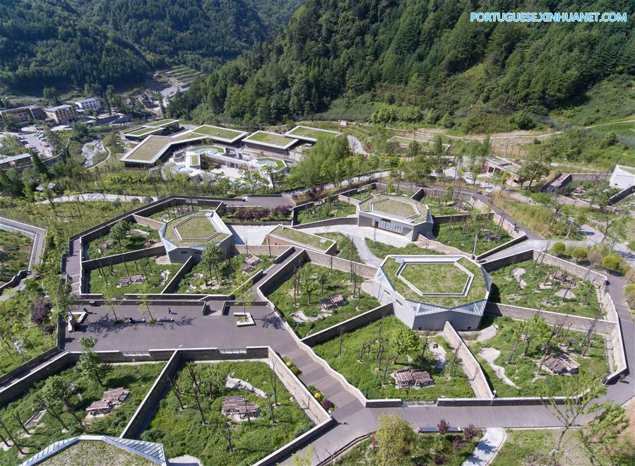 Base de prote??o de Shenshuping abriga mais de 50 pandas gigantes em Sichuan, sudoeste da China