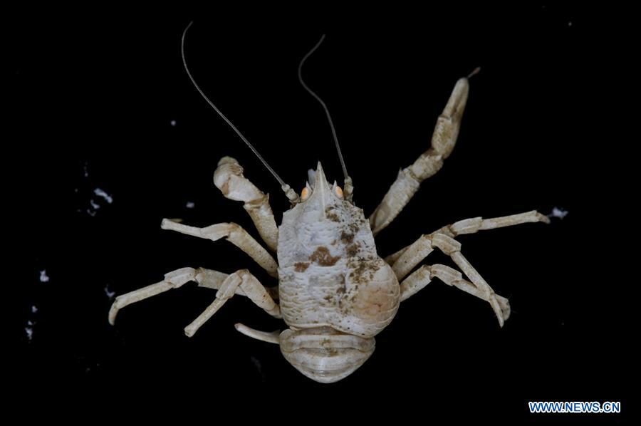 Submersíveis de constru??o chinesa exploram emana??o fria no Mar do Sul da China