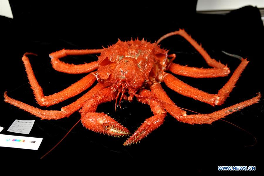 Submersíveis de constru??o chinesa exploram emana??o fria no Mar do Sul da China