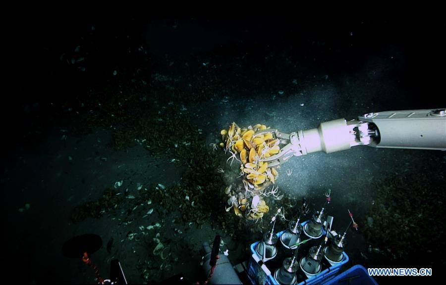 Submersíveis de constru??o chinesa exploram emana??o fria no Mar do Sul da China