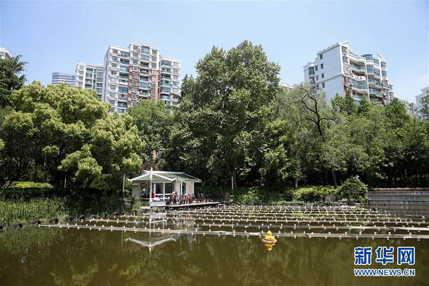 Cientistas chineses desenvolvem novo material para controle de polui??o da água