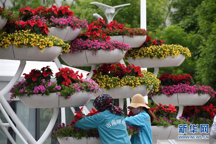 Galeria: Qingdao decorada a rigor para receber Cúpula da OCS