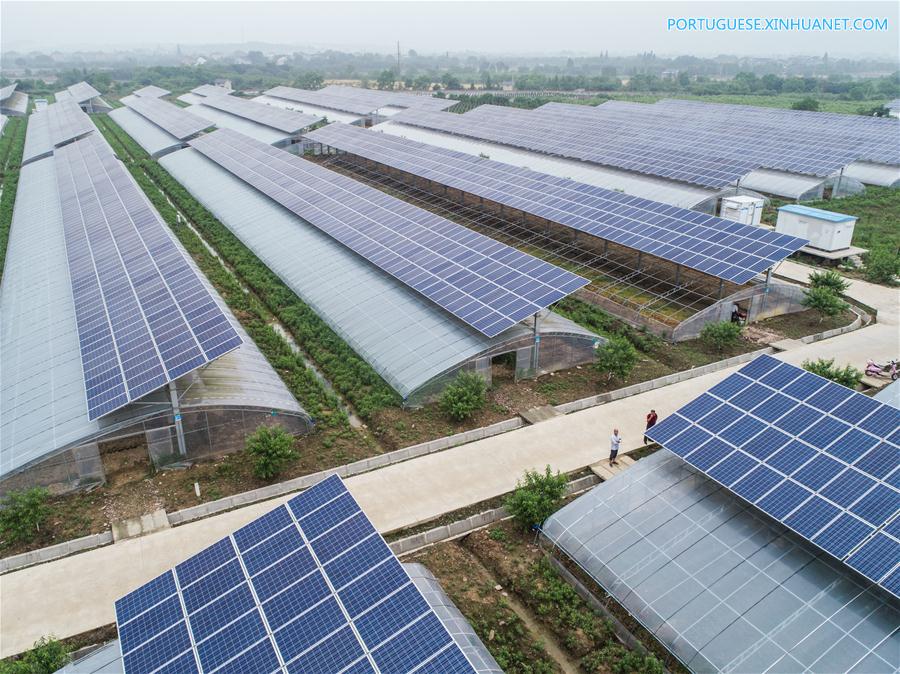 Estufas agrícolas fotovoltaicas geram eletricidade e aumentam renda de agricultores em Zhejiang