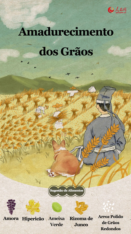 Amadurecimento dos gr?os