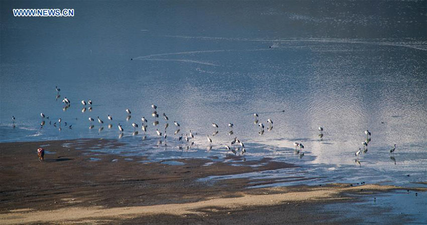 área de pantanos da China ocupa o 4o lugar no mundo