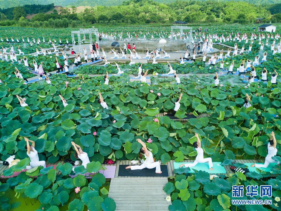 Fujian: Performance de ioga no “mar de flores de lótus” 