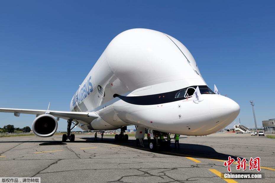 Beluga XL da Airbus realiza voo inaugural