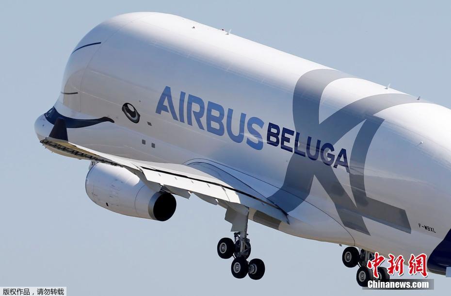 Beluga XL da Airbus realiza voo inaugural