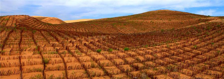 China: Paisagem do deserto de Kubuqi cada vez mais verde