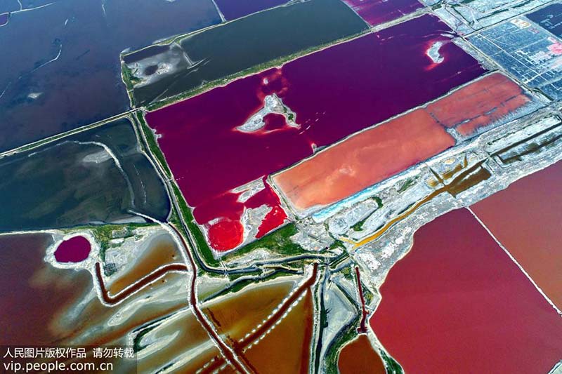 Galeria: Lagos coloridos em Yuncheng, Shanxi