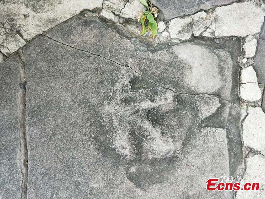 Pegadas de dinossauro descobertas em património UNESCO em Chengde