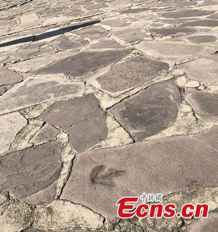 Pegadas de dinossauro descobertas em património UNESCO em Chengde