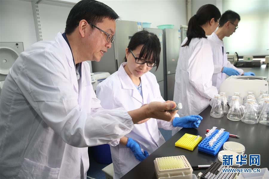 Primeira levedura de cromossoma único criada por cientistas chineses