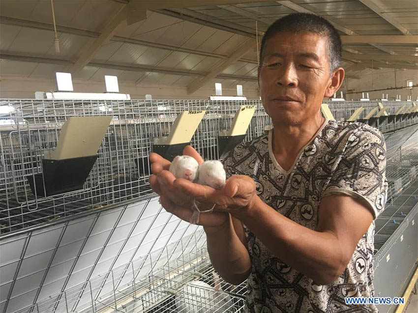 Deserto de Kubuqi: exemplo do sucesso da China no controlo da desertifica??o