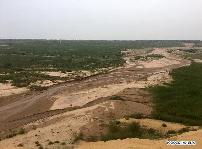 Deserto de Kubuqi: exemplo do sucesso da China no controlo da desertifica??o