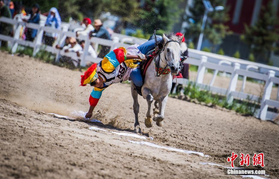 Galeria: Shows equestres no Festival Sho Dun