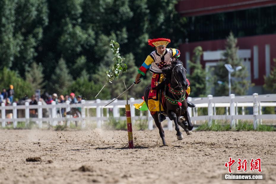 Galeria: Shows equestres no Festival Sho Dun