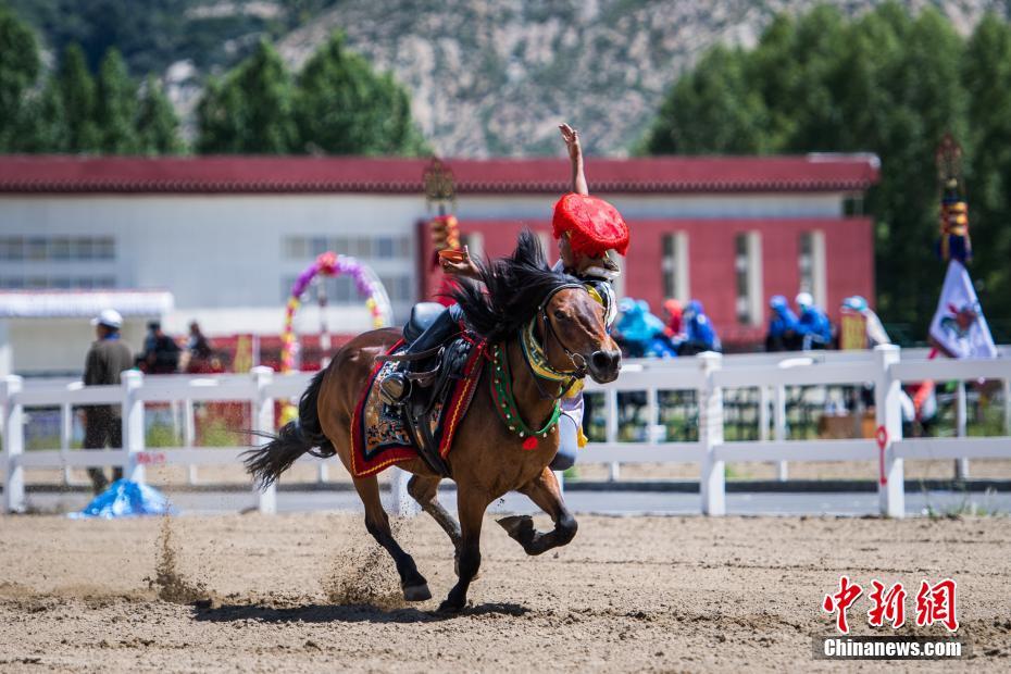 Galeria: Shows equestres no Festival Sho Dun