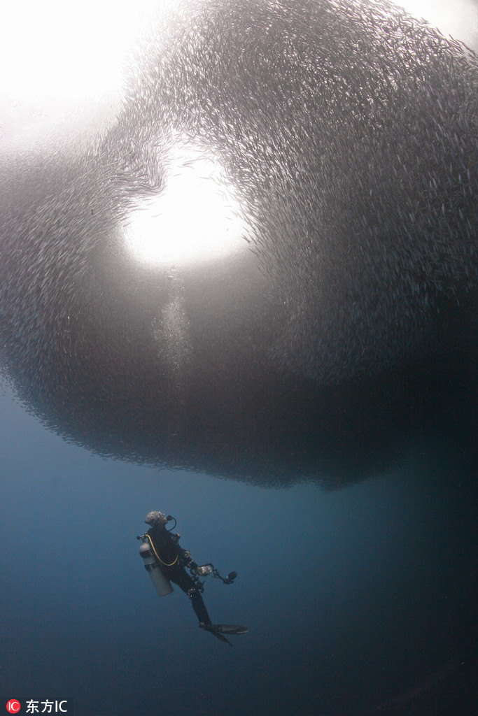 Galeria: Natureza em forma de cora??o para celebrar o Festival do Duplo Sete