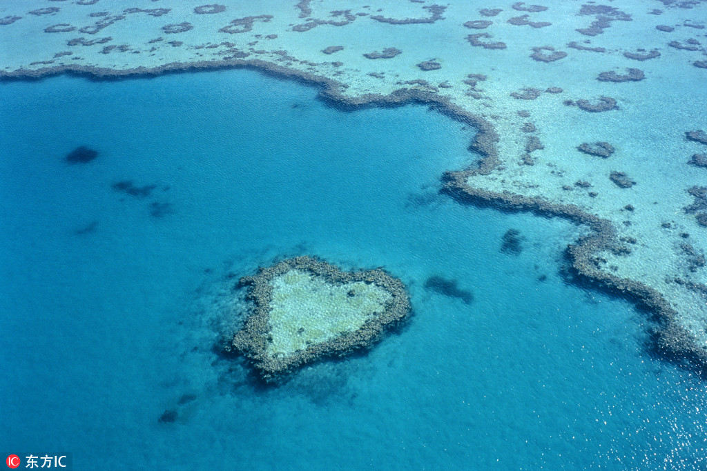 Galeria: Natureza em forma de cora??o para celebrar o Festival do Duplo Sete