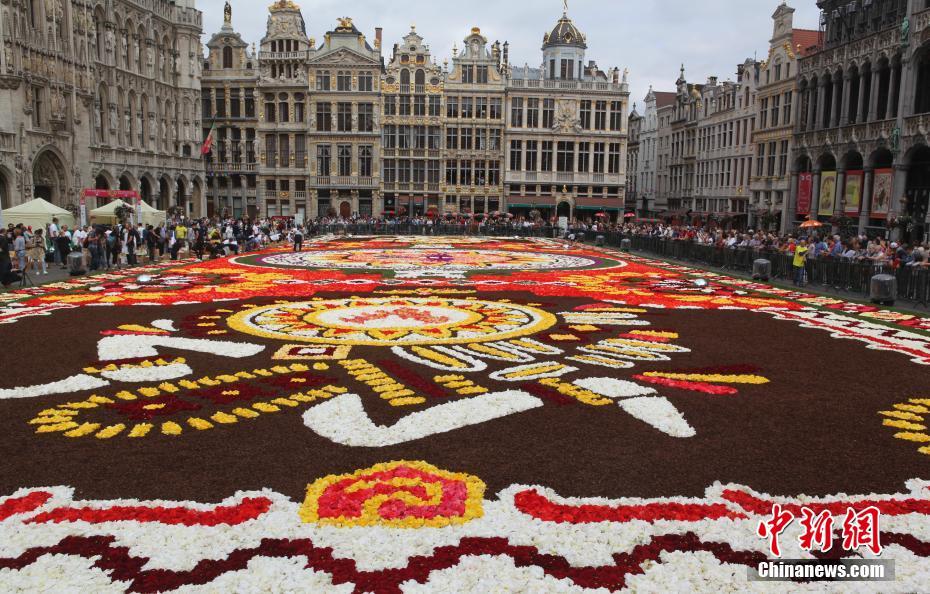 Bélgica exibe tapete de flores de 1.800 metros quadrados